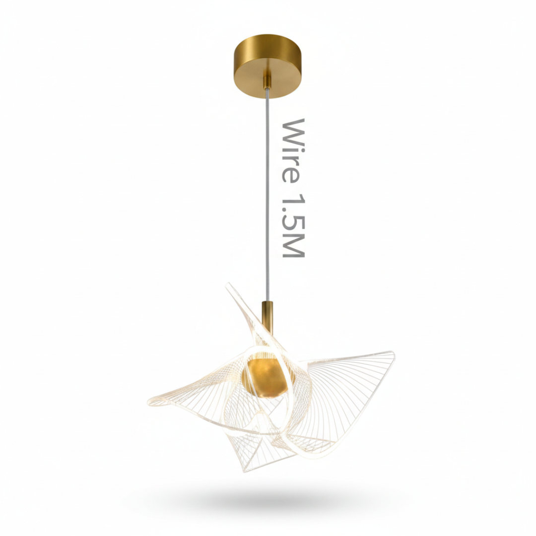 ثرية مفرد مودرين AXD611